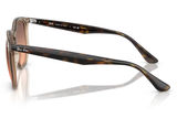 Ray-Ban Sunglass RB4306 ( Pre_Booking)