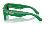 Ray-Ban Sunglass RB4940KG (Pre_Booking)