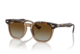 Ray-Ban Sunglass RJ9098S (Pre_Booking)