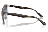Ray-Ban Sunglass RB4306 ( Pre_Booking)