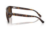 Ray-Ban Sunglass RB2213CH (Pre_Booking)