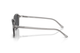 Ray-Ban Sunglass RB2231 (Pre_Booking)