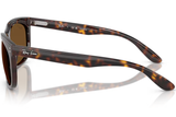 Ray-Ban Sunglass RB2389 (Pre_Booking)