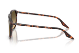 Ray-Ban Sunglass RB2203 (Pre_Booking)