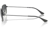 Ray-Ban Sunglass RB3739I (Pre_Booking)