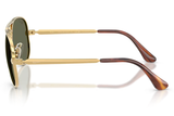 RAY-BAN Sunglasses RB3925