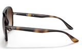 Ray-Ban Sunglass RB4376 (Pre_Booking)