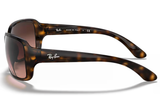 Ray-Ban Sunglass RB4068 (Pre_Booking)