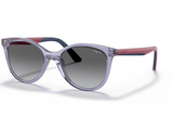 Vogue Sunglass VJ2013