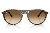 Ray-Ban Sunglass RB2215 (Pre_Booking)