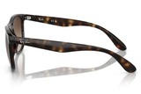 Ray-Ban Sunglass RB4412I (Pre_Booking)