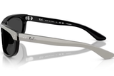 Ray-Ban Sunglass RB2489 (Pre_Booking)