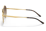 Ray-Ban Sunglass RB3681 (Pre_Booking)