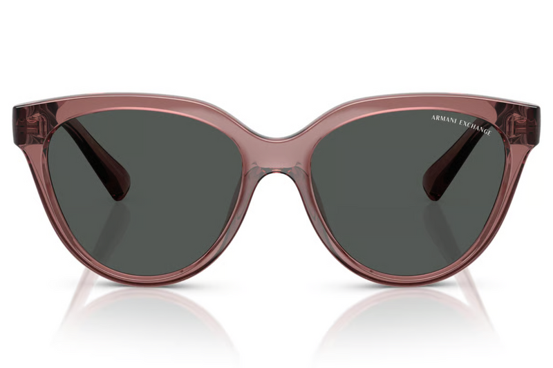 Armani Exchange Sunglasses AX4148SU