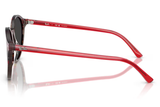 Ray-Ban Sunglass RB2230 (Pre_Booking)