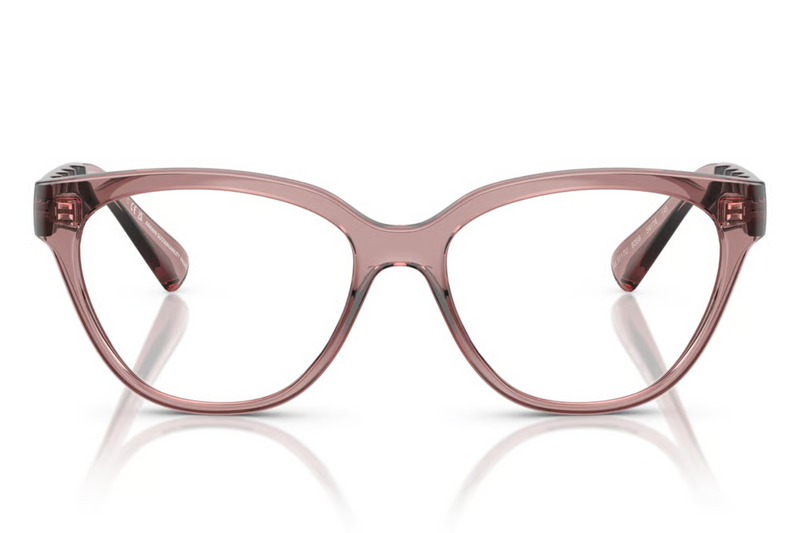 Armani Exchange AX3117U