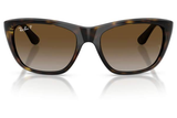 Ray-Ban Sunglass RB4154 (Pre_Booking)