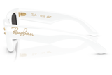 Ray-Ban Sunglass RB4940KG (Pre_Booking)