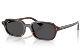 Ray-Ban Sunglass RB4455 (Pre_Booking)