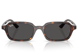 Ray-Ban Sunglass RB4455 (Pre_Booking)