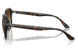 Ray-Ban Sunglass RB4465I (Pre_Booking)