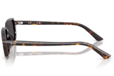 Ray-Ban Sunglass RB4455 (Pre_Booking)
