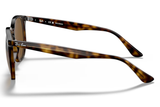 Ray-Ban Sunglass RB4306 ( Pre_Booking)