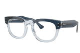 Ray-Ban FRAME RX0298V