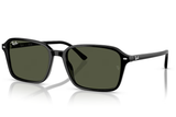 Ray-Ban Sunglass RB2231 (Pre_Booking)