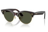 Ray-Ban Sunglass RB2341 (Pre_Booking)