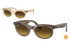 Ray-Ban Sunglass RB2242 (Pre_Booking)