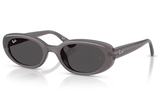 Ray-Ban Sunglass RB4441D (Pre_Booking)
