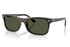Ray-Ban Sunglass RB2226 (Pre_Booking)