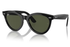 Ray-Ban Sunglass RB2241 (Pre_Booking)