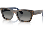 Ray-Ban Sunglass RB7683S (Pre_Booking)