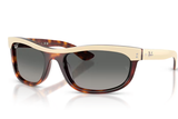 Ray-Ban Sunglass RB2489 (Pre_Booking)