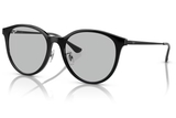 Ray-Ban Sunglass RB4334D (Pre_Booking)