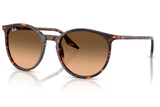 Ray-Ban Sunglass RB2204 (Pre_Booking)