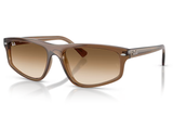 Ray-Ban Sunglass RB2225 (Pre_Booking)