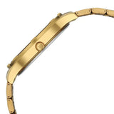 Titan Karishma Watch for Men 10058YM01