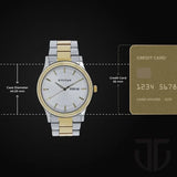 Titan Silver Dial Day & Date Watch for Men 1650BM01