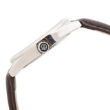 Titan Timeless Charm Watch for Men 1729SL02