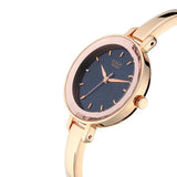 Titan Raga Blue Dial Women's Watch NU2575WM02