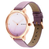 Titan Quartz Levender Dial Women’s Watch 2664WL03