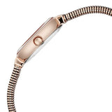 Titan Raga Viva Glam Mother Of Pearl Dial Women's Watch NU2737WM01