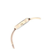 Titan Raga Viva Grey Dial Women's Watch NU2604WM01