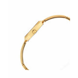 Titan Raga Viva Golden Dial Analog Women's Watch NU2606YM06