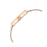 Titan Raga Viva Brown Dial Women’s Watch NU2665WM01