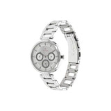 Titan Quartz Silver Dial Women’s Watch 2480SM03