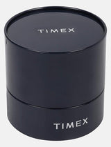 Timex Fashion Multifunction Brown Dial Men Watch TWEG18903